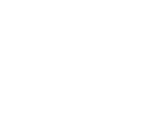 fraud alert icon