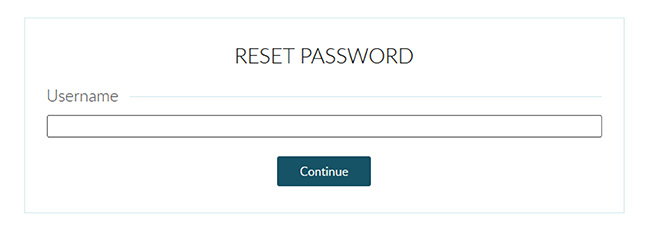 this is what the reset password screen looks like
